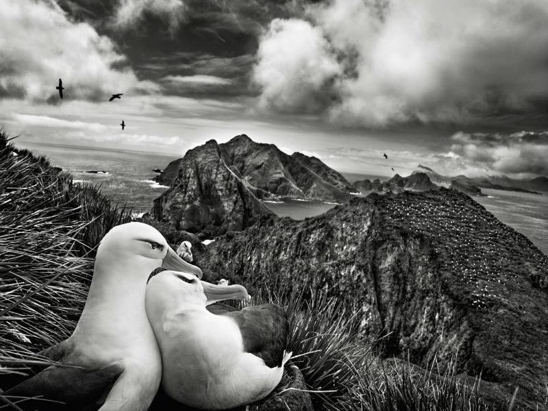 Les Mouettes Amoureuses Villa Louannec Екстериор снимка